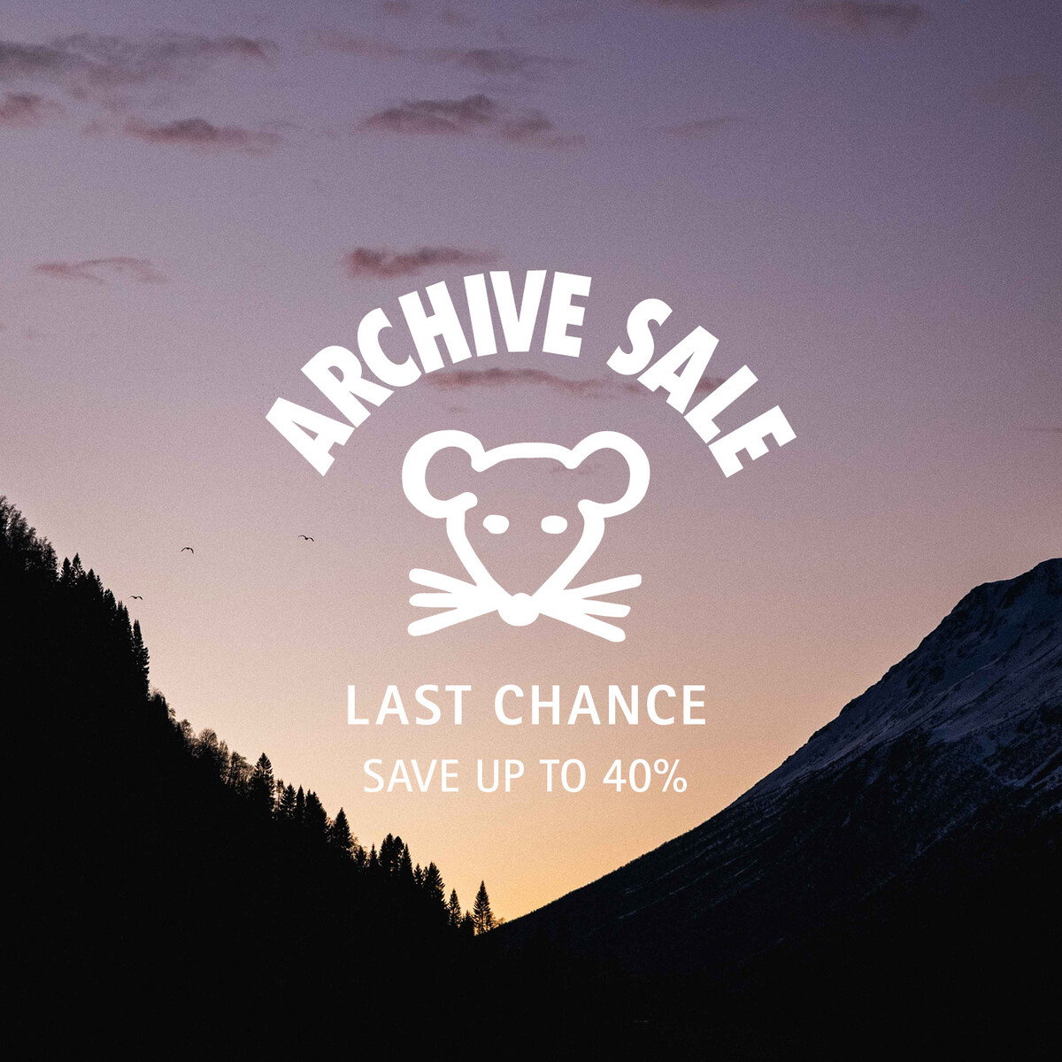 Archvie Sale