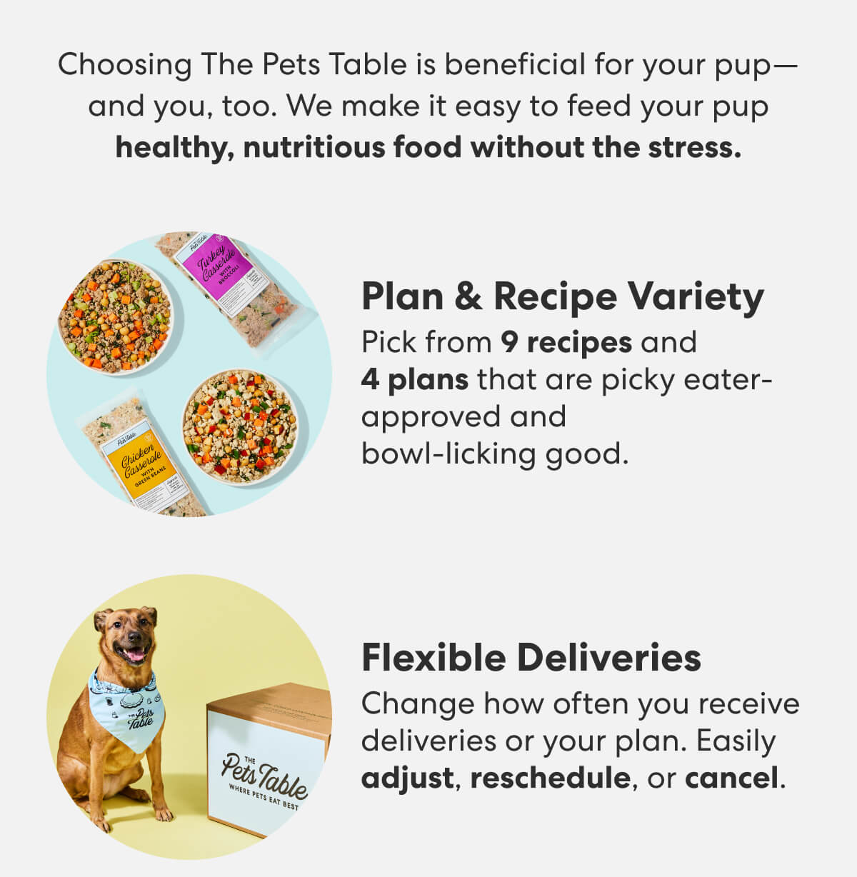 [Banner] The Pets Table