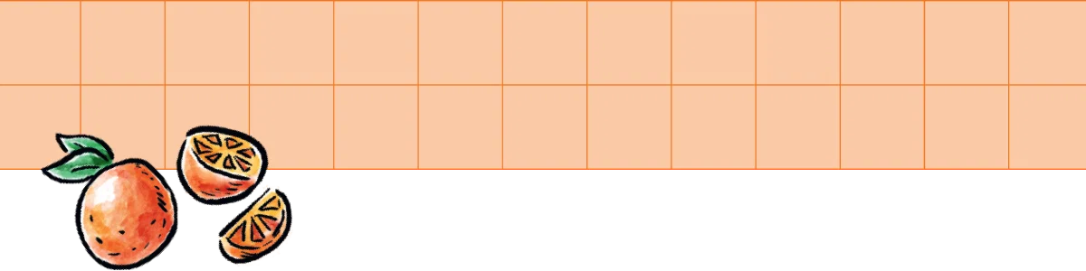 Design element: Oranges illustration on a grid background