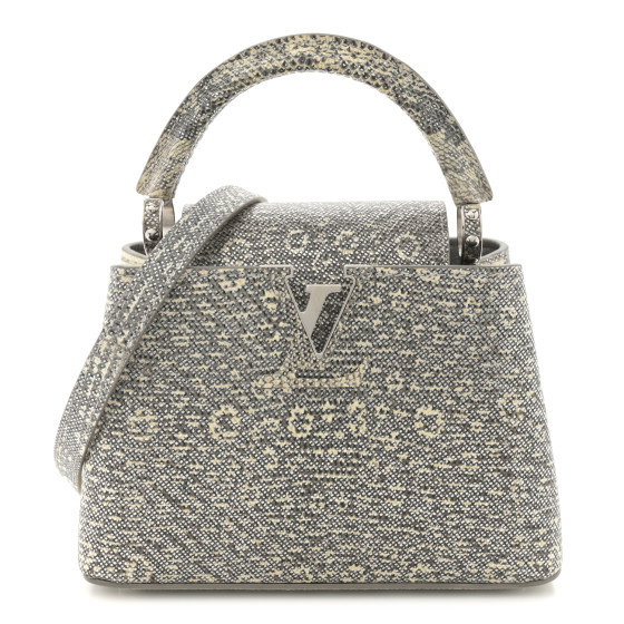 LOUIS VUITTON Lizard Mini Capucines Argento