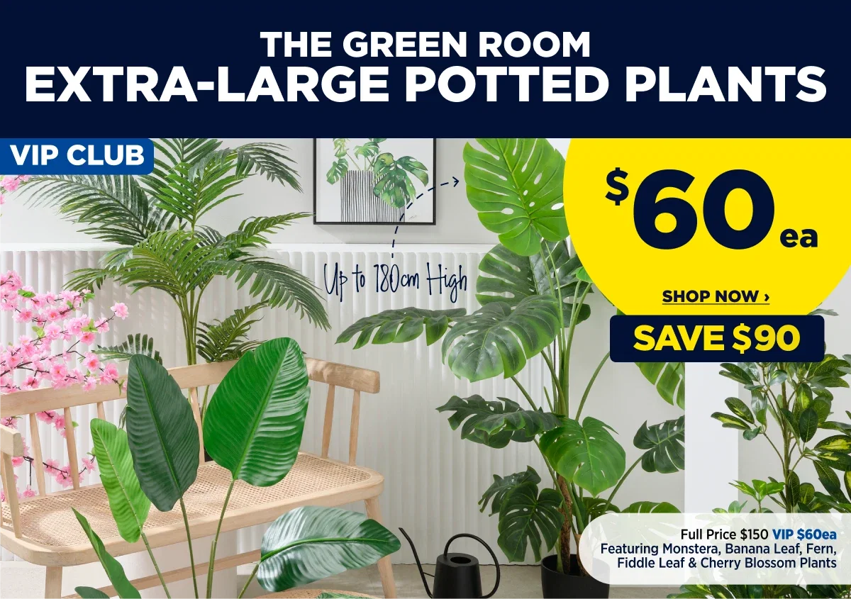 THE GREEN ROOM EXTRA-LARGE POTTED PLANTS