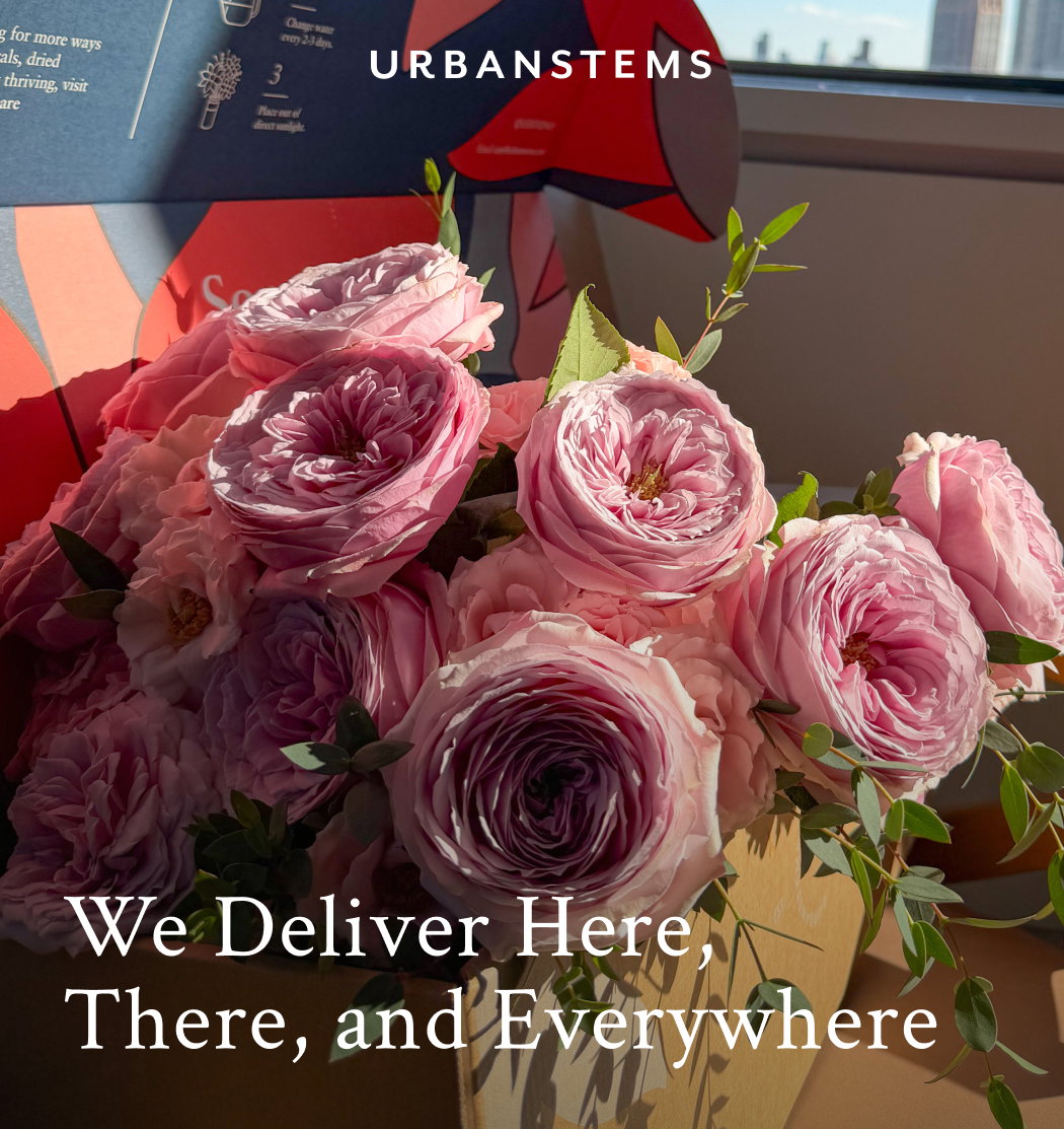 We Deliver Here, There, and Everywhere
