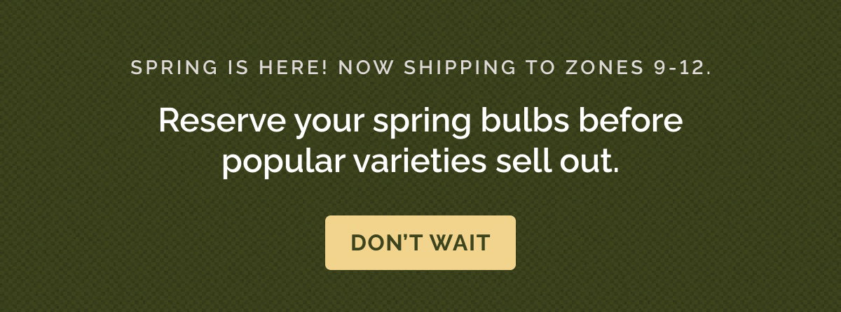 Spring IS HERE! NOW shipping to zones 9-12. Reserve your spring bulbs before popular varieties sell out.
