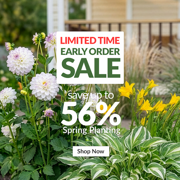 All spring planting up to 56% off
