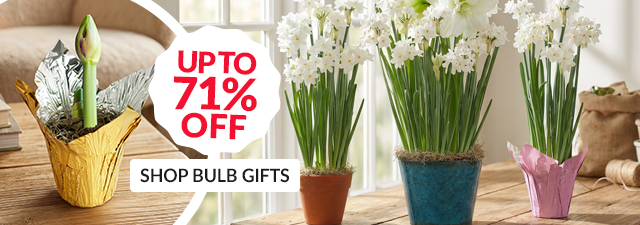 Pre-planted Bulb Gifts: Up to 71% off