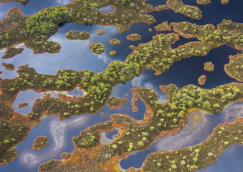 Why we'll never use peat moss in our soil and what we use instead