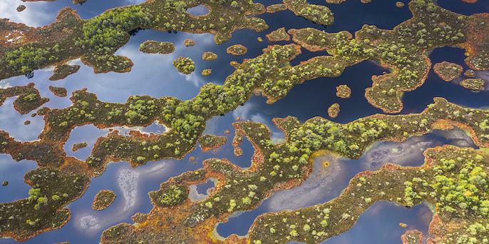 Why we'll never use peat moss in our soil and what we use instead