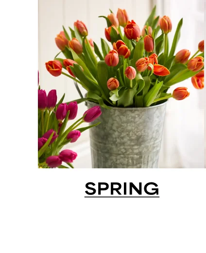 Spring