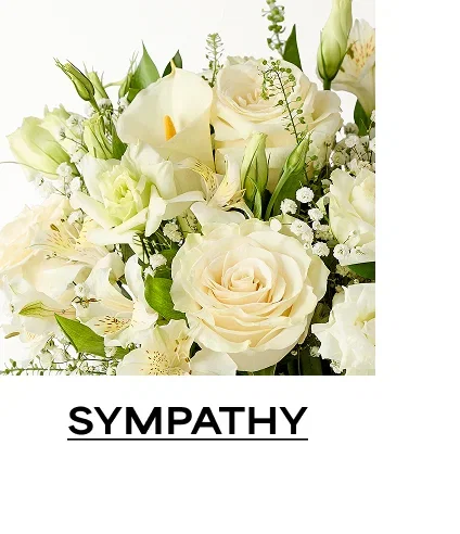 Sympathy