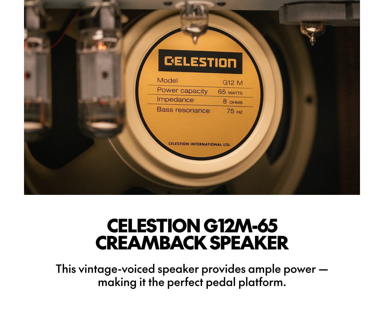 Celestion G12M-65 Creamback Speaker