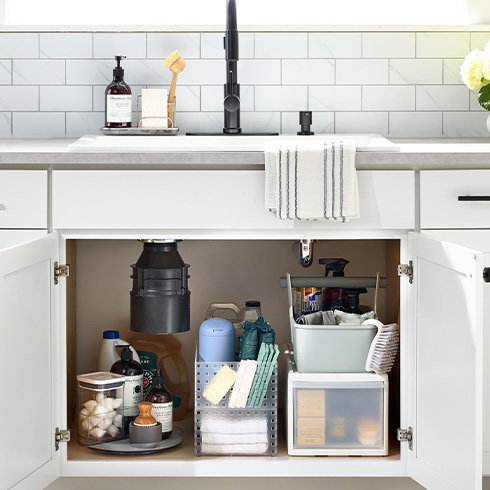 Shop Sink and Under Sink
