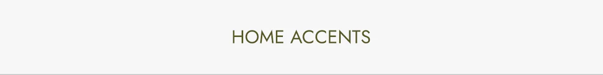 home agents vt