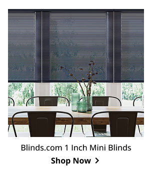 Blinds.com 1 Inch Mini Blinds | Shop Now >