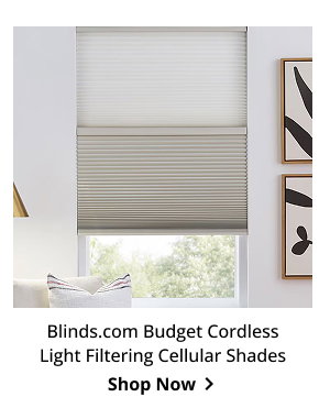 Blinds.com Budget Cordless Light Filtering Cellular Shades | Shop Now >