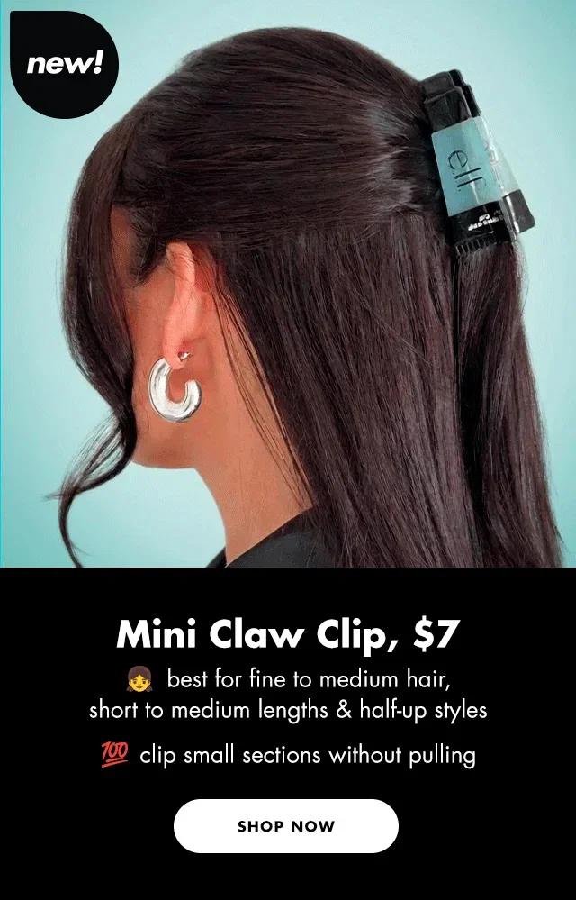 mini claw clip