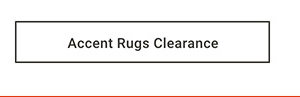Accent Rugs Clearance