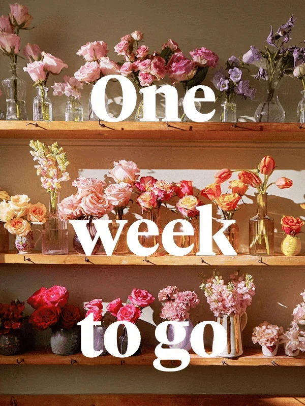 Vibrant pink roses, orange tulips, and lilac stems in glass vases on wooden shelves. Text overlays the scene: 'One week to go'.