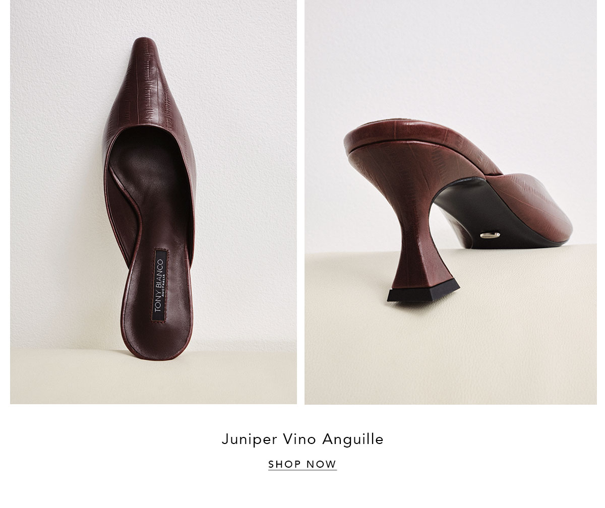 Juniper Vino Anguille