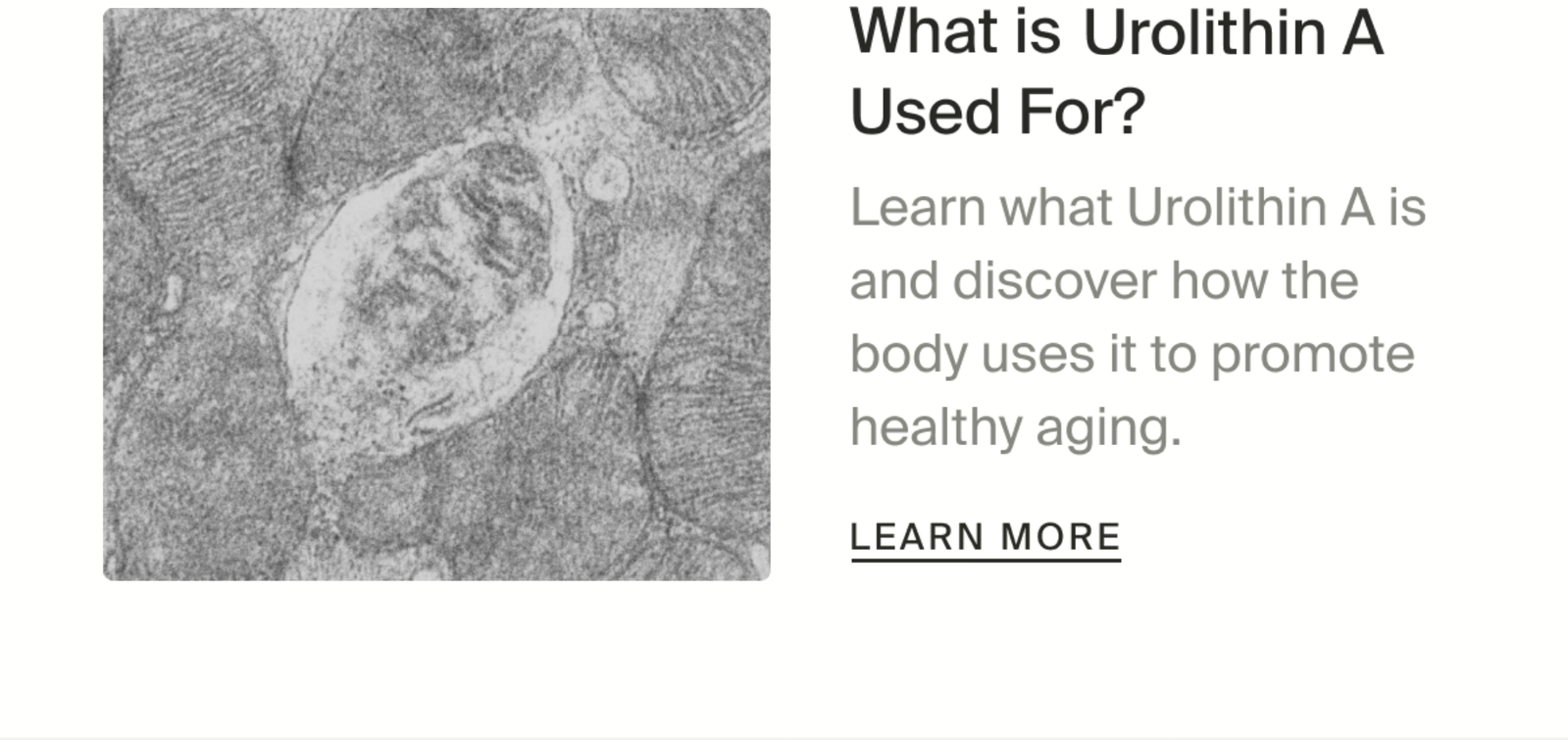 What is Urolithin A Used For?