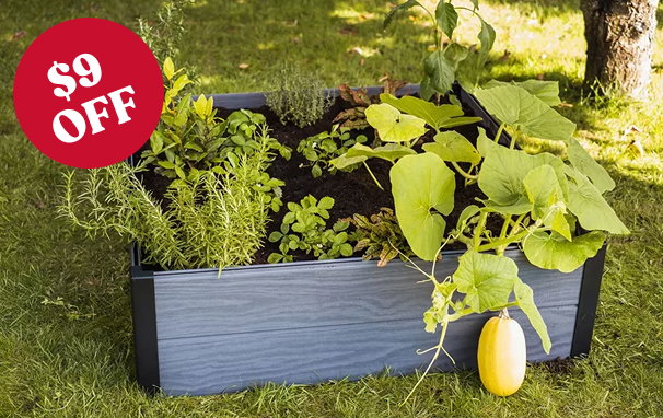 Maple Raised Garden Bed
