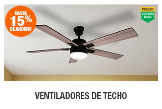 Ventiladores de techo