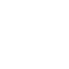 Brand Icon