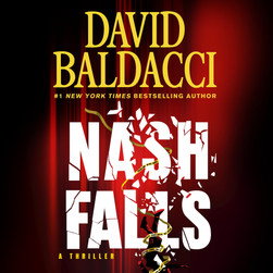 Nash Falls by David Baldacci