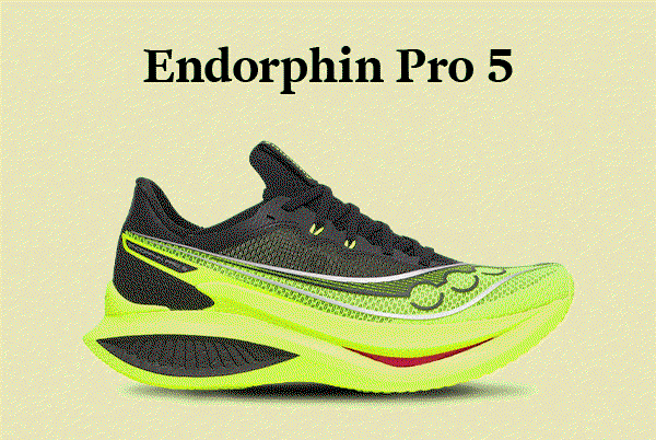 Saucony Endorphin Pro 5