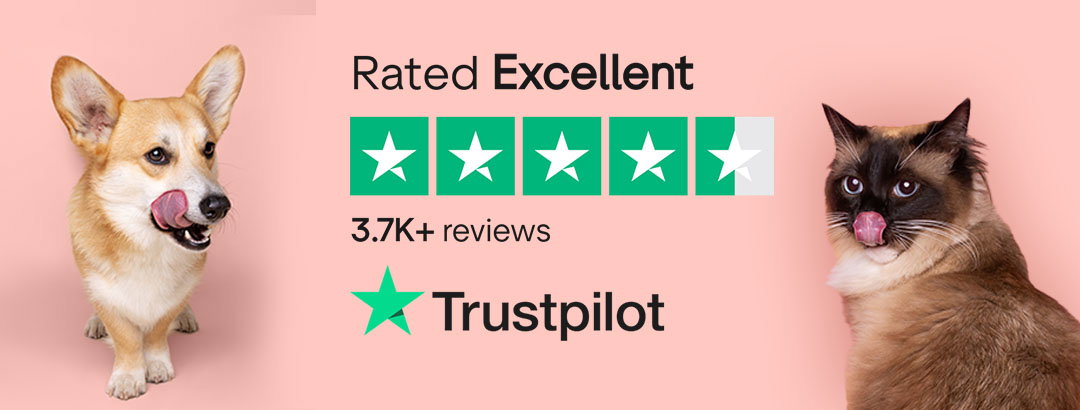 scrumbles reviews