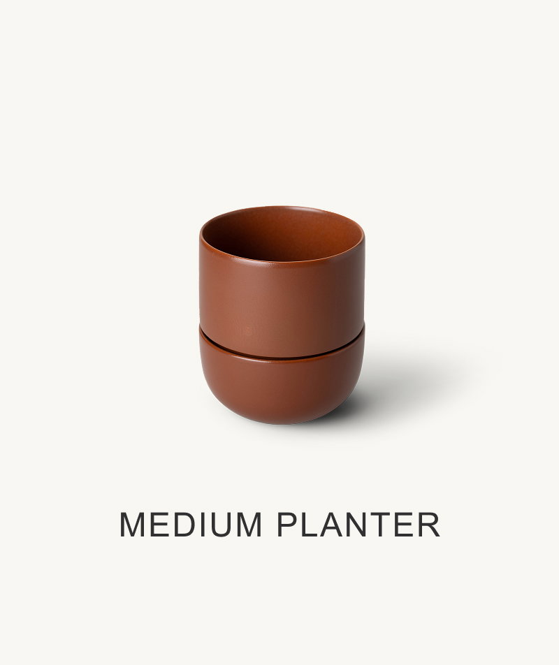 Medium Planter.