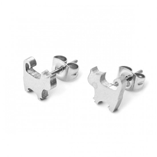 Stainless Steel Stud Earrings