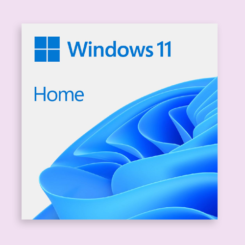 Microsoft Windows 11 Home 64 Bit Box
