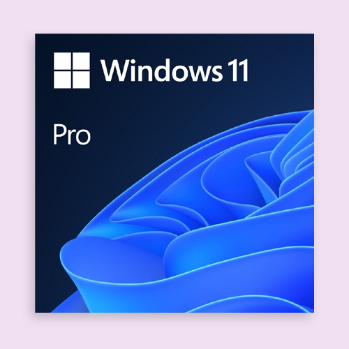 Microsoft Windows 11 Pro 64 Bit Box