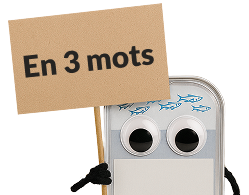 En 3  mots