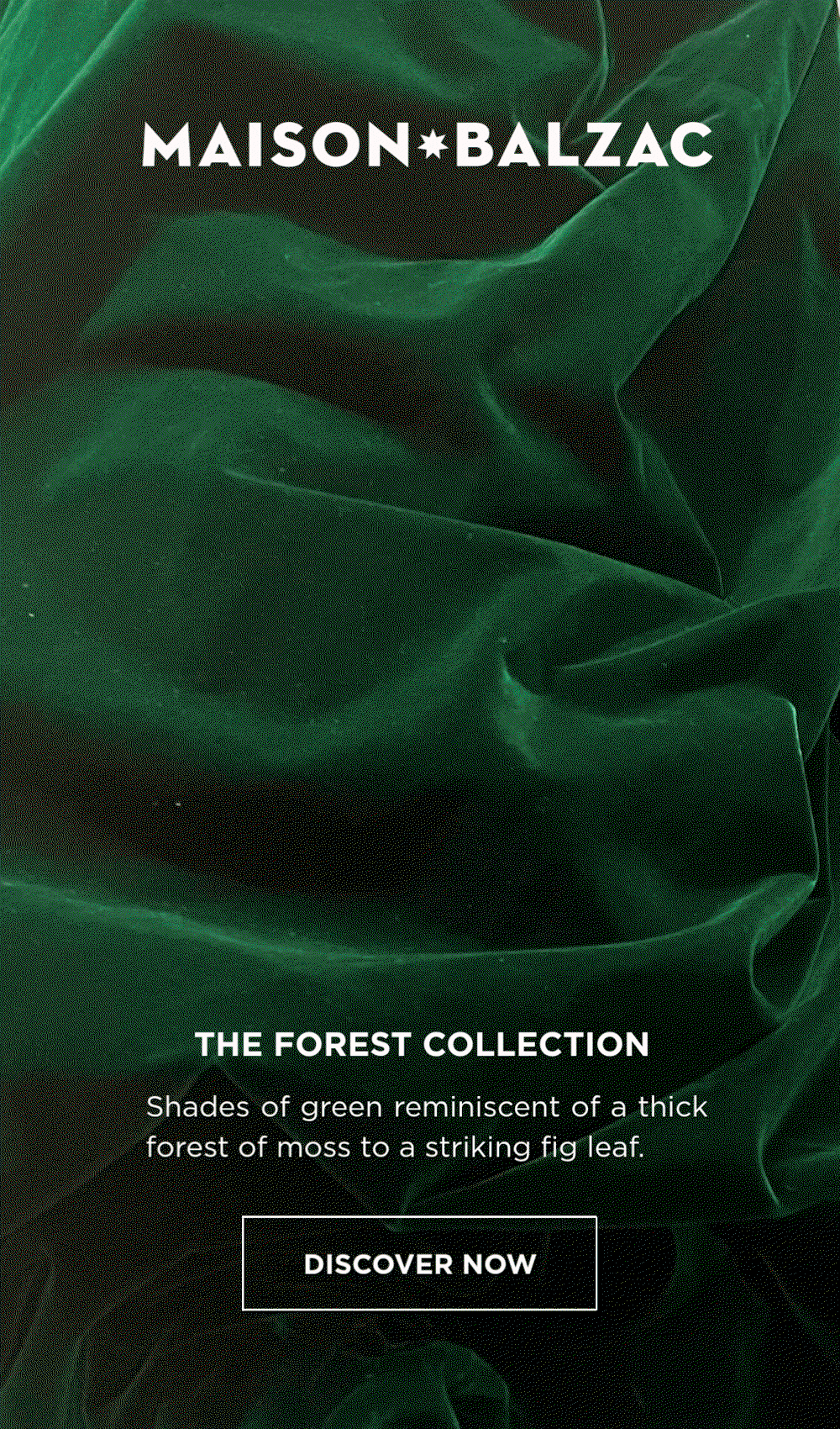 THE FOREST EDIT