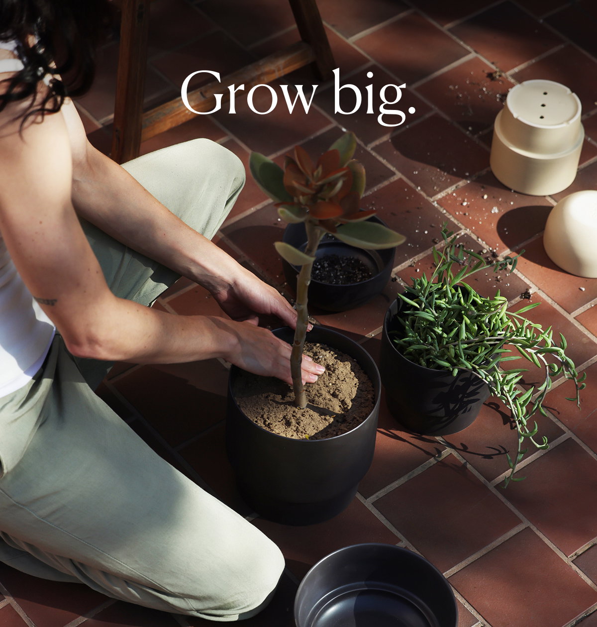 Grow big.