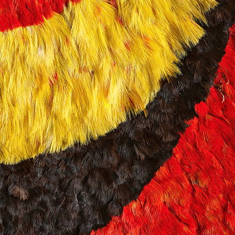 Close-up of feathered cloak worn by Hawaiian chiefs. – Explore the Exhibition. 