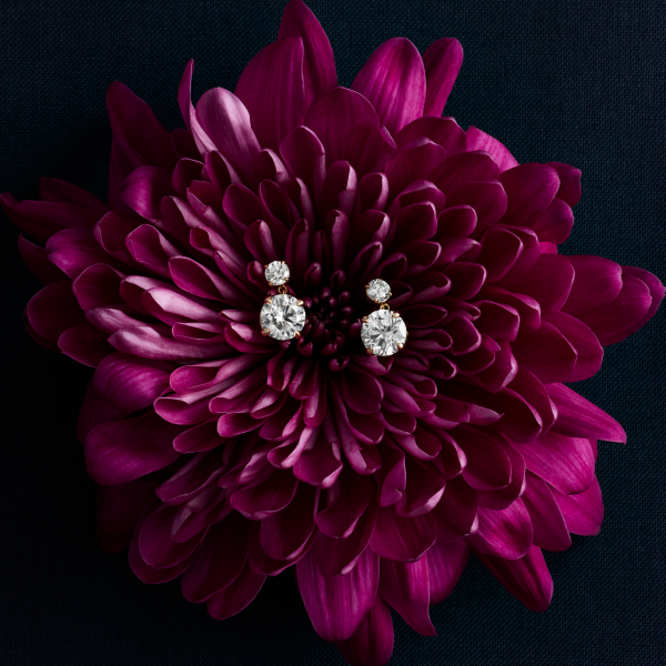 Up to 30% off* vibrant gemstone jewelry during our Spring Sale.