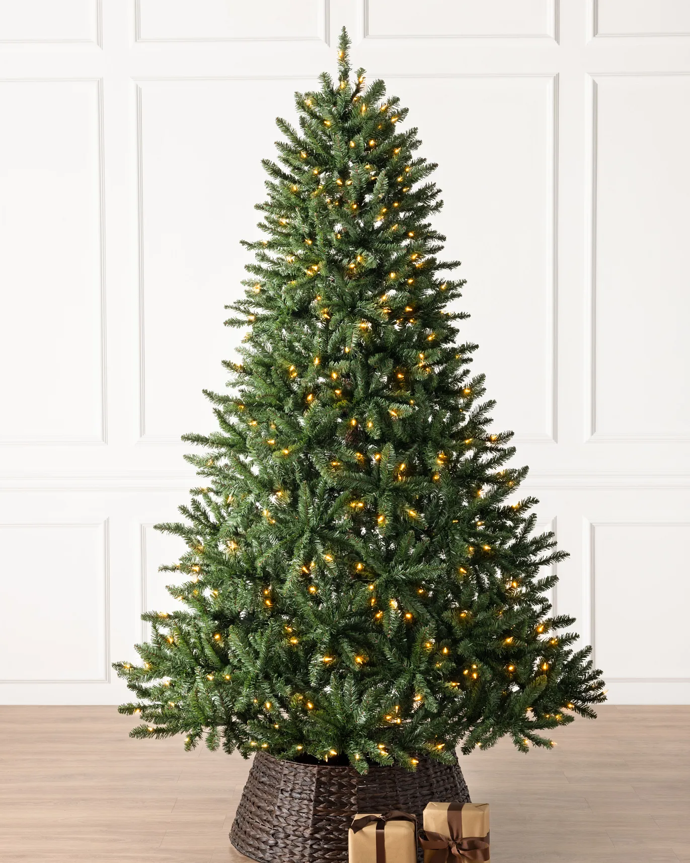 Classic Evergreen Spruce
