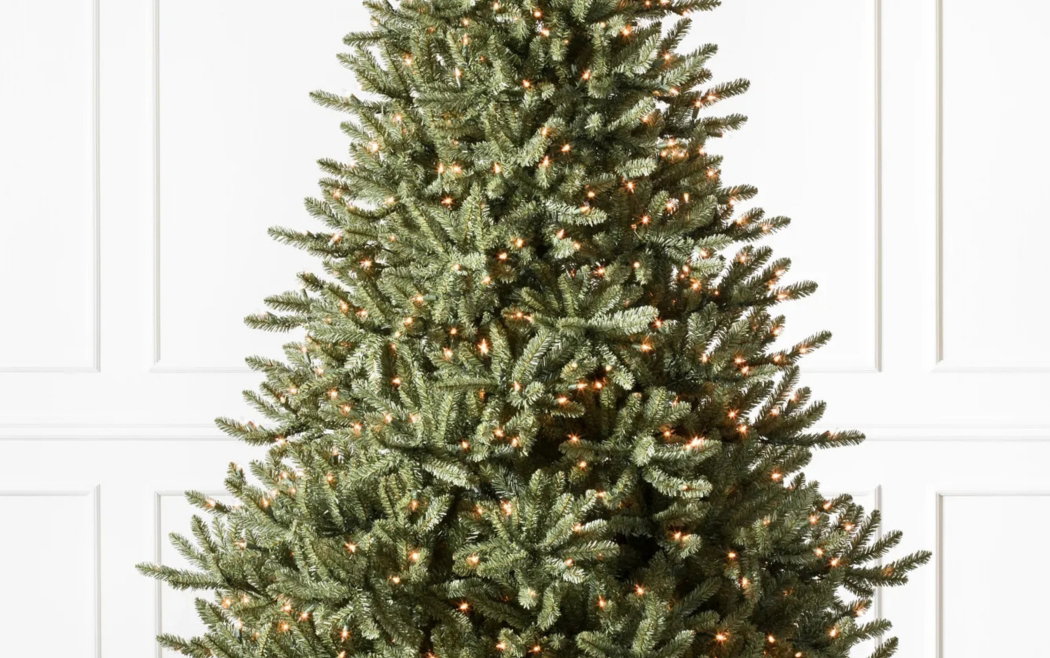Image of Classic Blue Spruce Tree