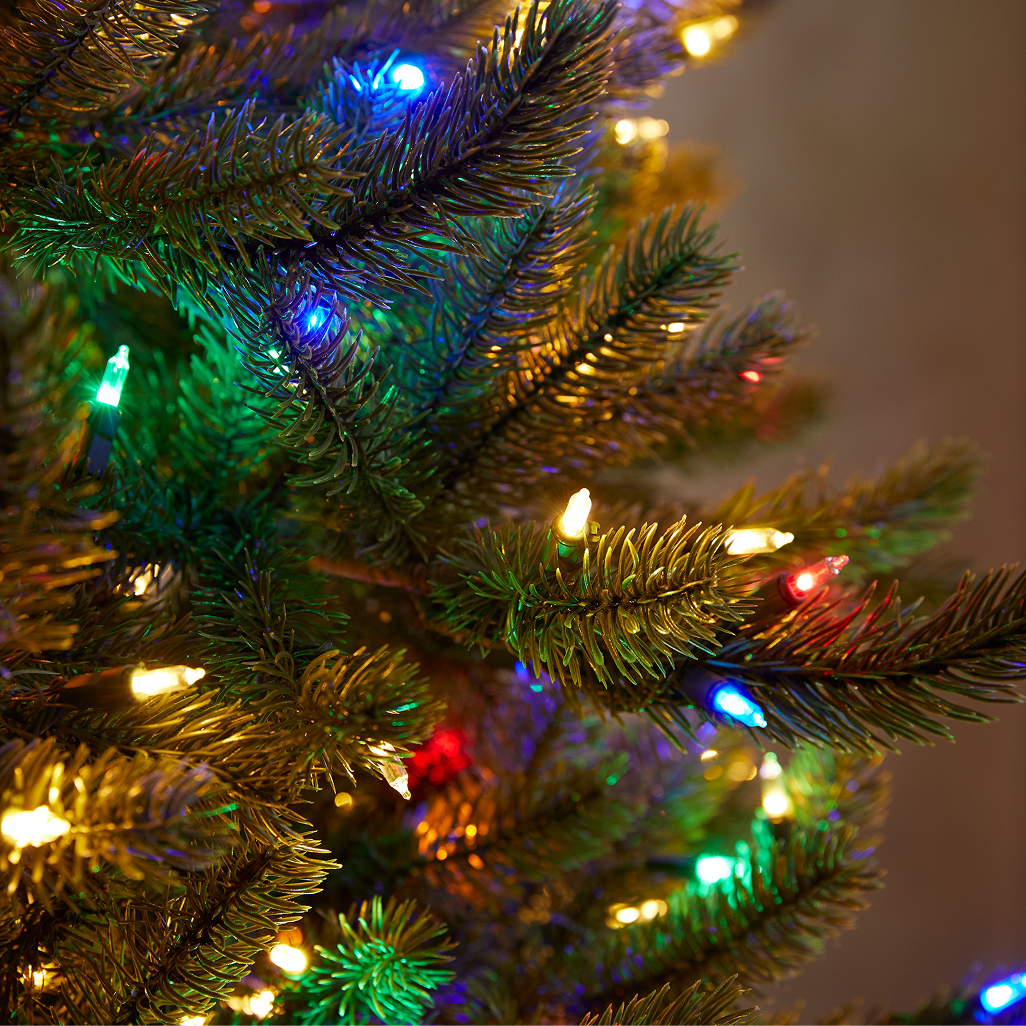 Close up of christmas tree branches with colored lights