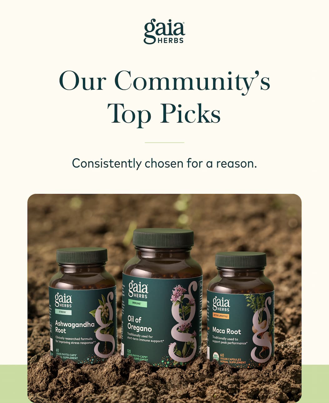 Our Community's Top Picks