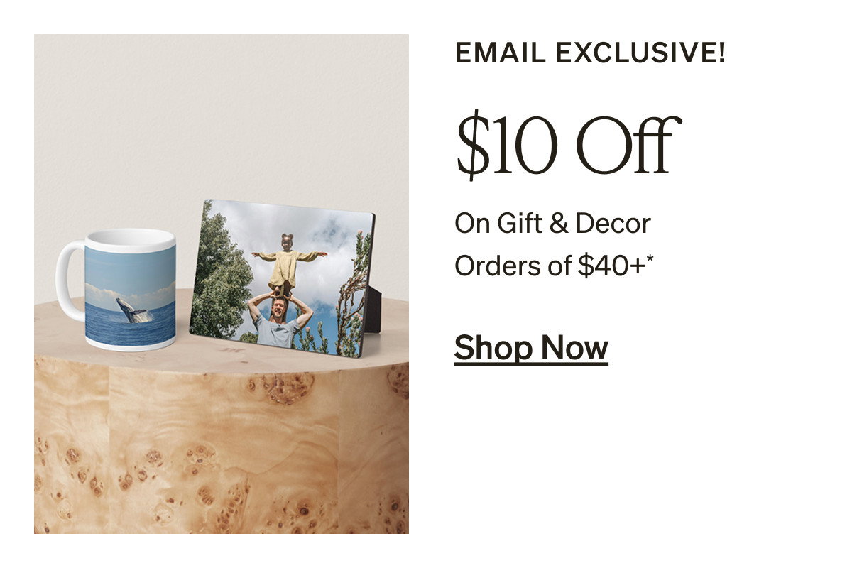 Free Shipping (No Minimum) + Up to 50% Off Almost Everything