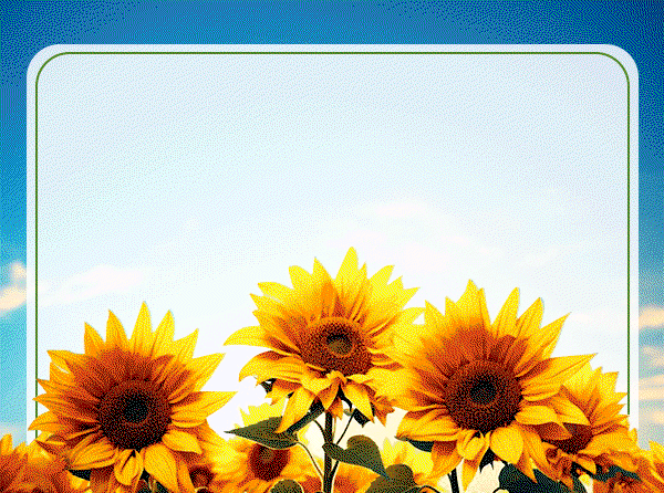 Discover Fresh Brands Now Available On HPFY And Find Products You'll Love!