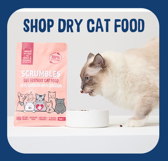 shop dry cat food