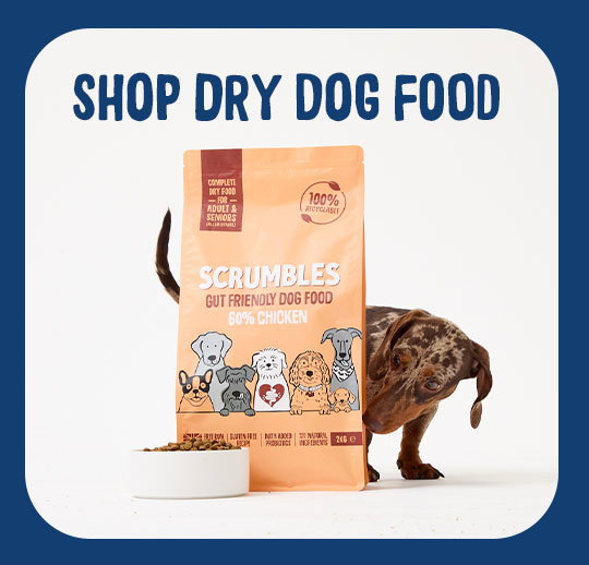 shop dry dog food