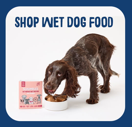 shop wet dog food