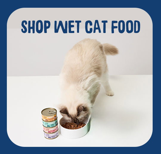 shop wet cat food