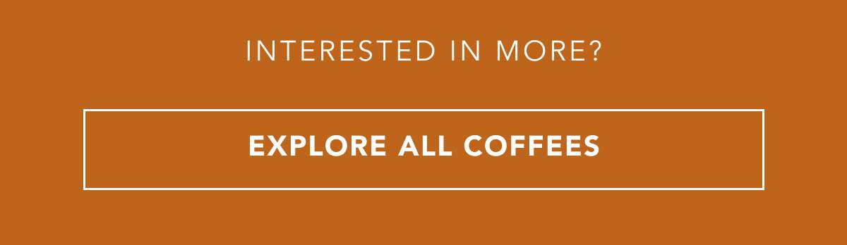 Interested in more? EXPLORE ALL COFFEES