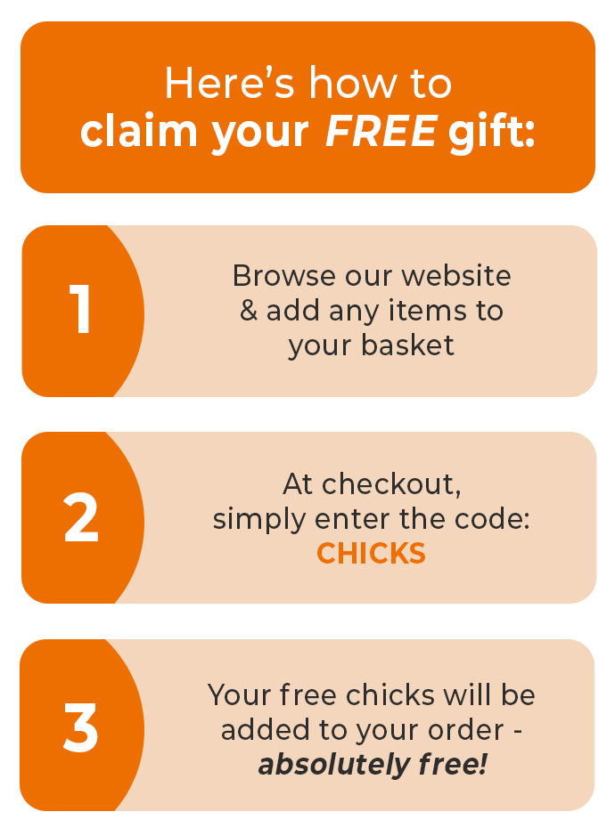 Spring Gift – Free! 🐥